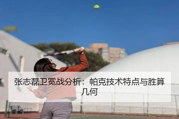 张志磊卫冕战分析：帕克技术特点与胜算几何