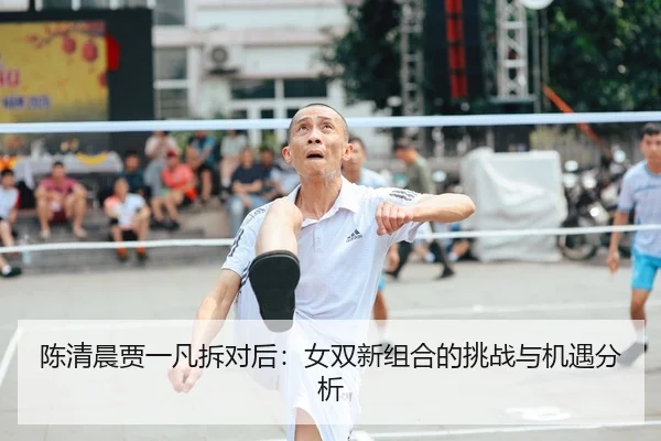 陈清晨贾一凡拆对后：女双新组合的挑战与机遇分析